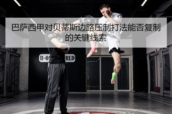ba-sa-xi-jia-dui-bei-di-si-bian-lu-ya-zhi-da-fa-neng-fou-fu-zhi-de-guan-jian-xian-suo-2-300.jpg